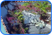 Terrazza fiorita
